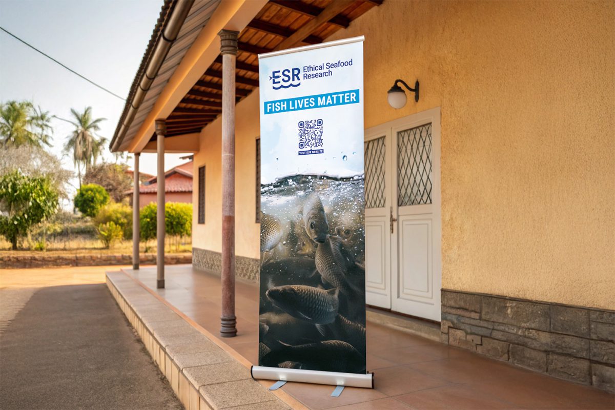 Roll-up pour une organisation non-gouvernementale dédiée à la pêche durable et aux bien-êtres des poissons d'élevage